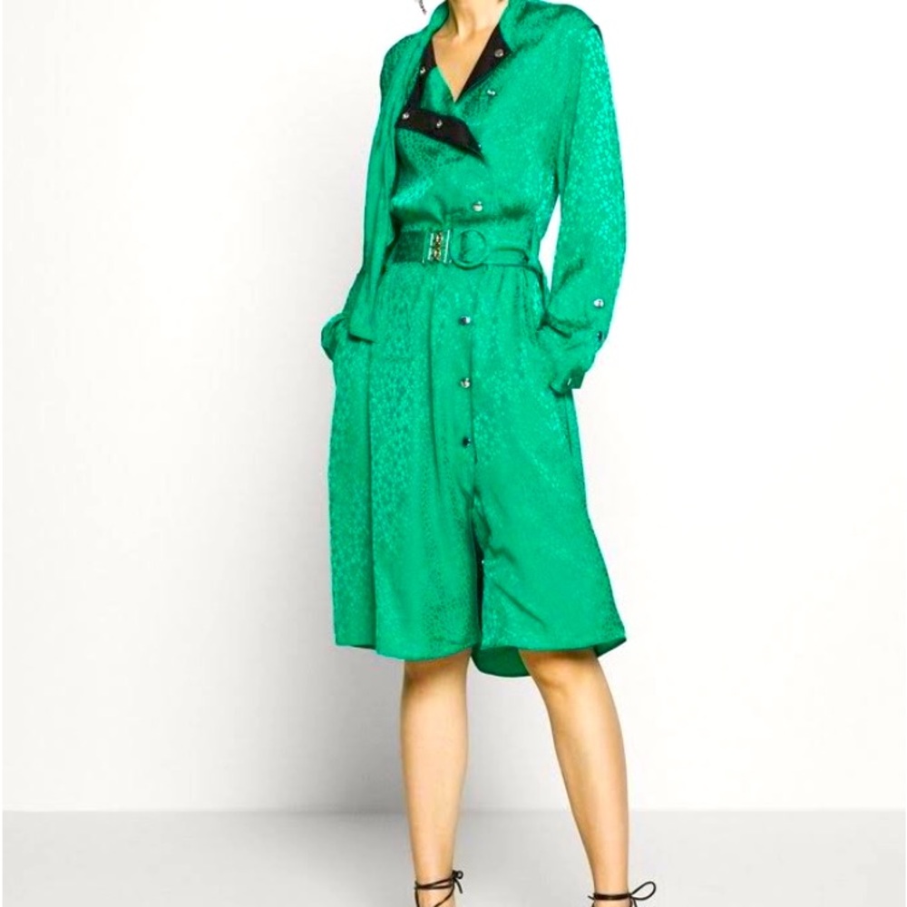 Coach draped and belted green dress.